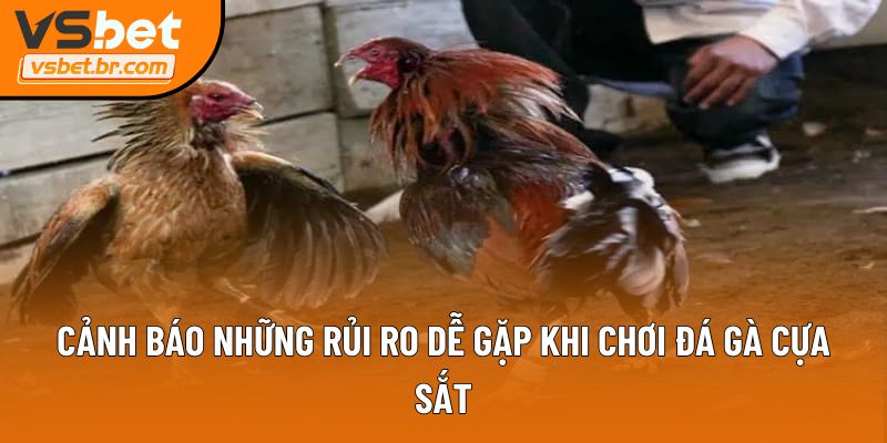 Cảnh báo những rủi ro dễ gặp khi chơi đá gà cựa sắt
