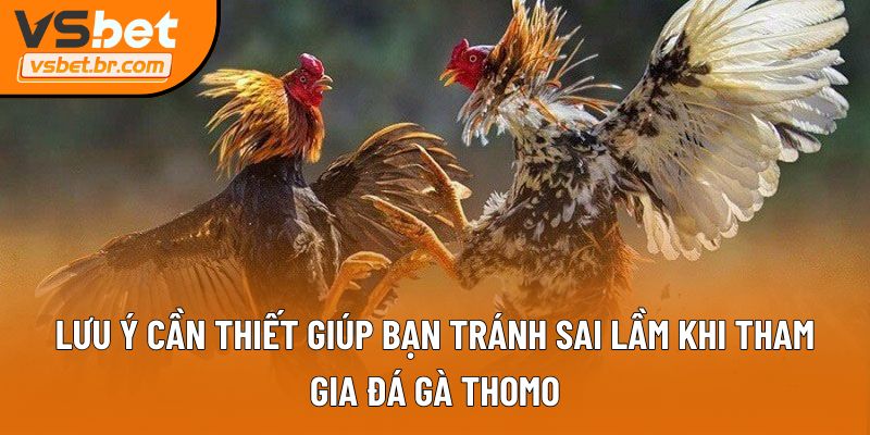 Lưu ý cần thiết giúp bạn tránh sai lầm khi tham gia đá gà Thomo