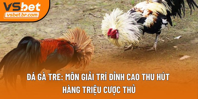 Đá gà tre