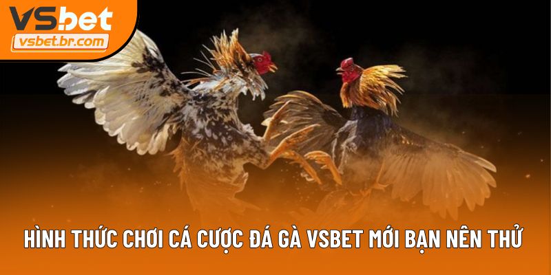 Hình thức chơi cá cược đá gà Vsbet mới bạn nên thử
