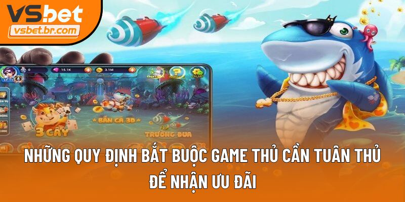 Những quy định bắt buộc game thủ cần tuân thủ để nhận ưu đãi
