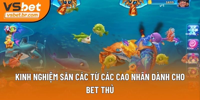 Kinh nghiệm săn các từ các cao nhân dành cho bet thủ