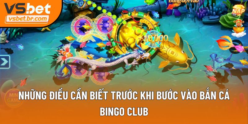 Những điều cần biết trước khi bước vào Bắn Cá Bingo Club