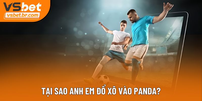 Tại sao anh em đổ xô vào Panda?