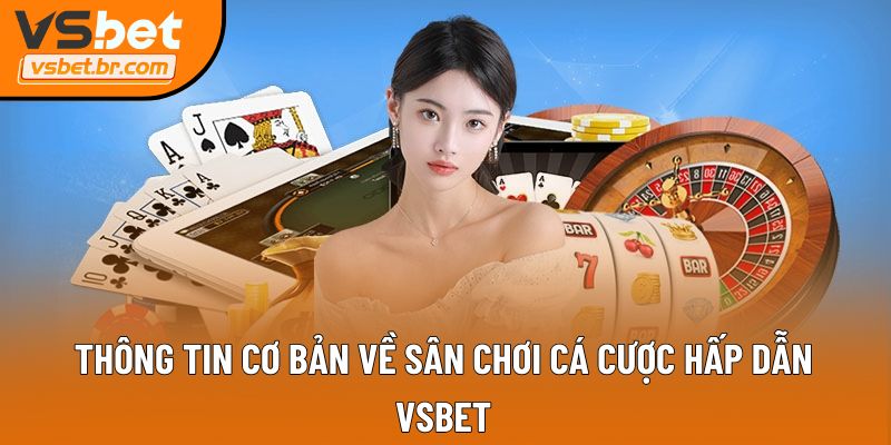 Thông tin cơ bản về sân chơi cá cược hấp dẫn Vsbet